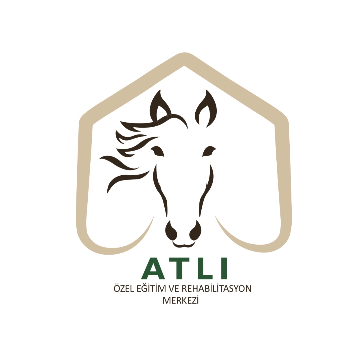 Çorum - Merkez / Atlı Özel Eğitim ve Rehabilitasyon Merkezi