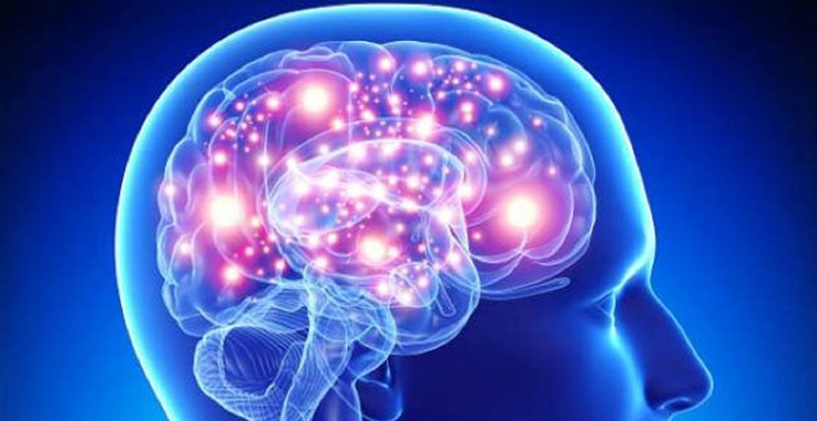 Erken Beyin Gelişimi ve Sağlığı