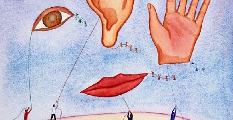 Duyu Bütünleme ve Ergoterapistin Rolü