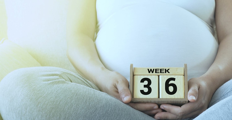 Hamileliğin Otuzaltıncı Haftası
