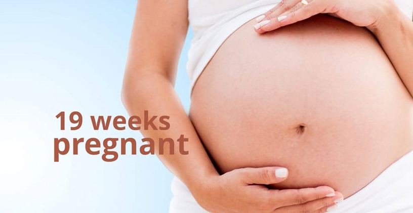 Hamilelikte 19. Hafta