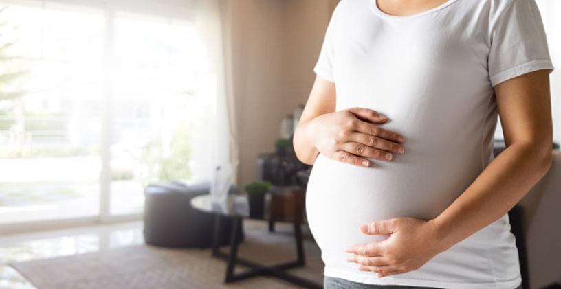 Hamileliğin Yirminci Haftası