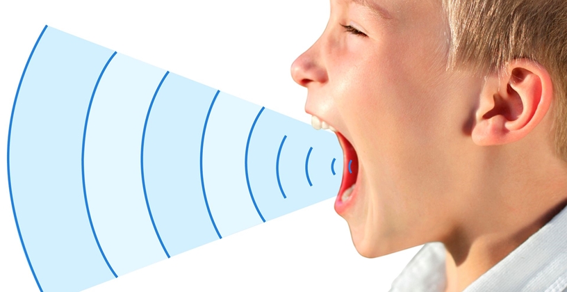 Duymak ve Ses Çıkarmak