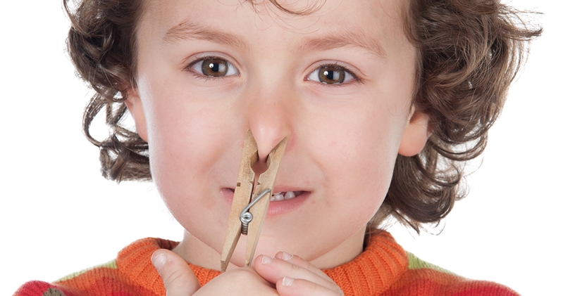 Duyusal İşleme Bozukluğu: Koku Alma Sistemi