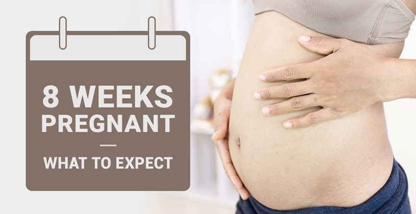 Hamileliğin Sekizinci Haftası