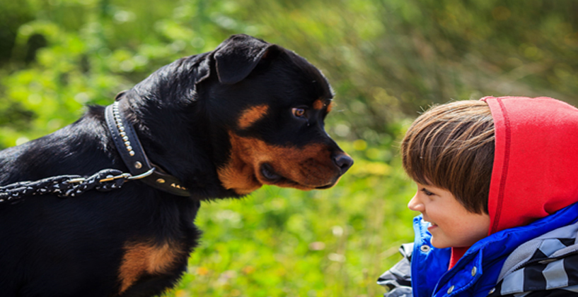 Kaygı ve Endişesi Olan Çocuklara Yardım Etmek