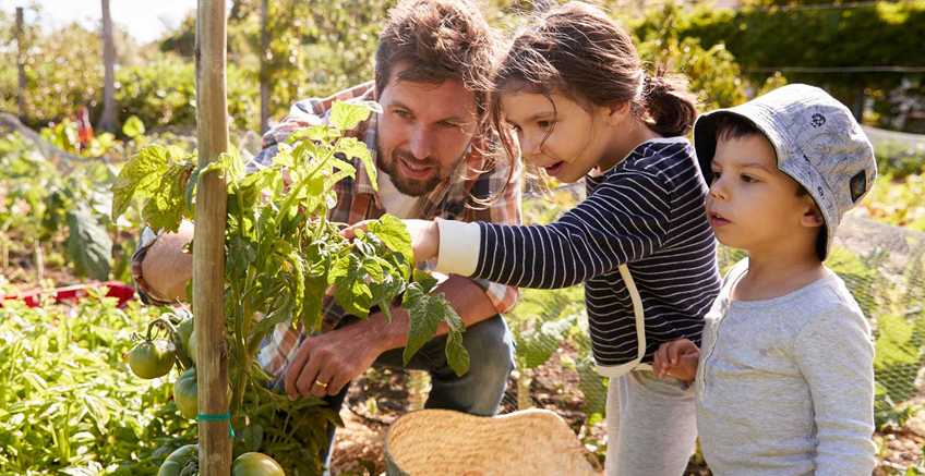Evde Sağlıklı Yaşam: Çocuklarını Sağlıklı Alışkanlıklar Edinmelerini Sağlayacak Aktiviteler