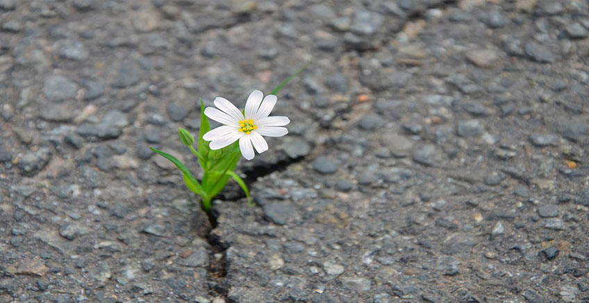 Esnek Olmanın Önemi