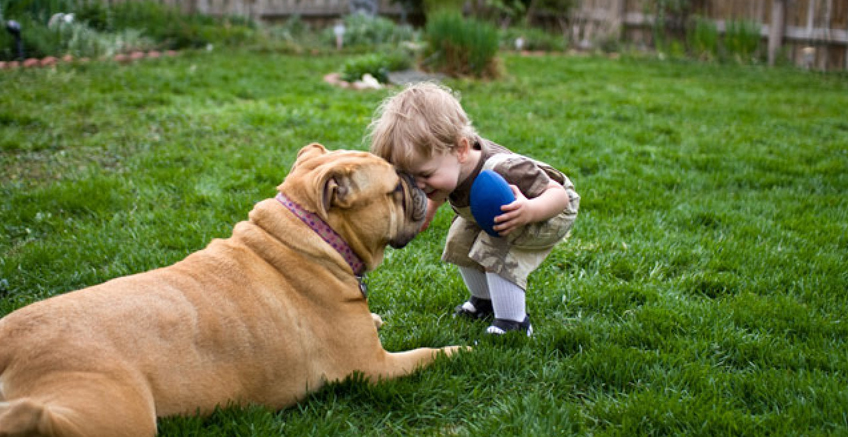 Evcil Hayvanlar ve Çocuklar
