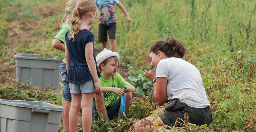 Duyusal Aktivitelerin Kullanımı