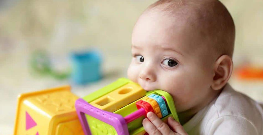 Bebekler Neden Her Şeyi Ağızlarına Götürüyorlar?