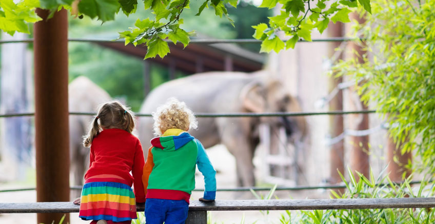Alan Gezileri ile Kelime Hazinesi Oluşturma